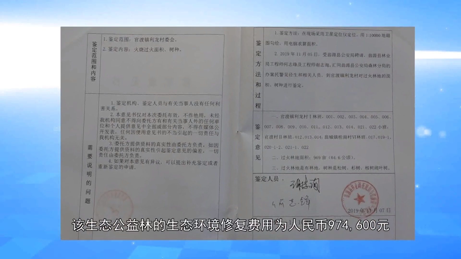 赵某|“百万”马蜂窝