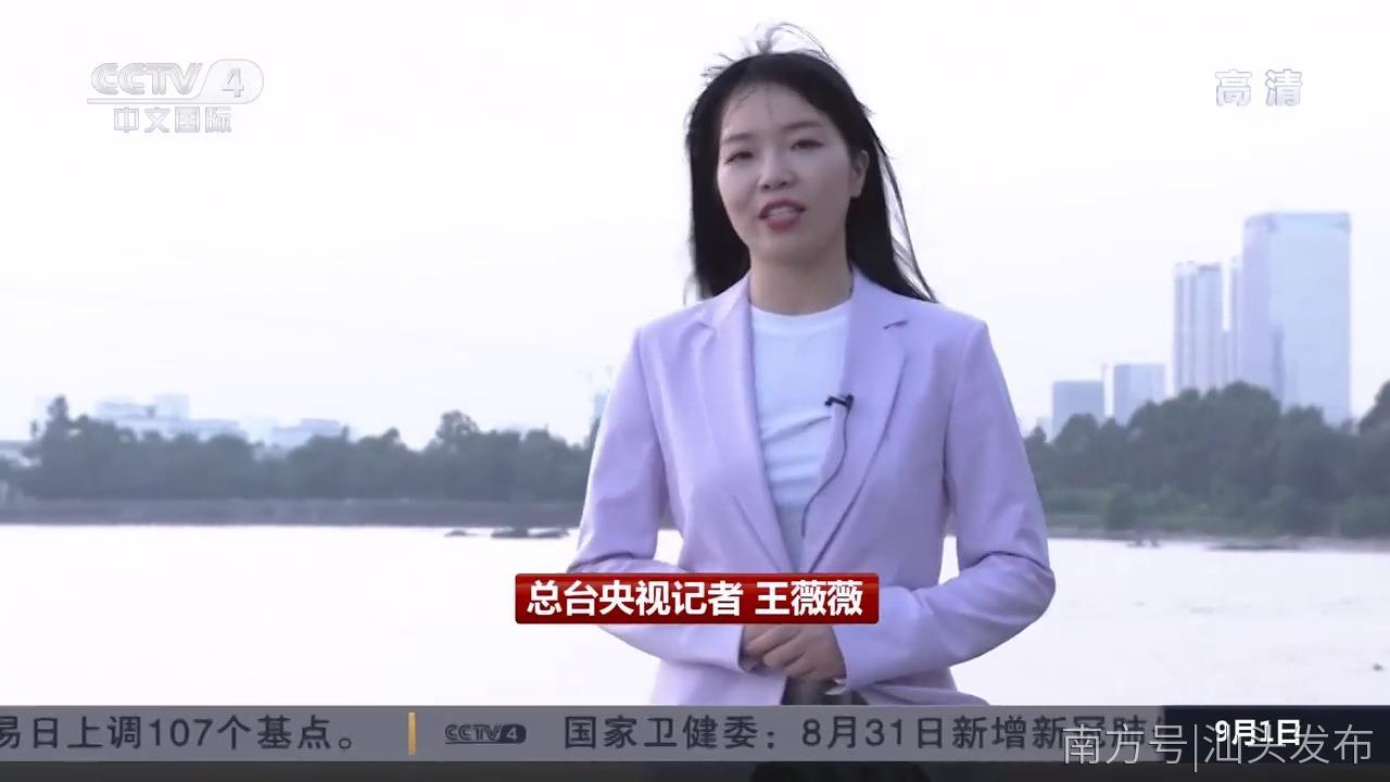 央视主持人王薇薇图片