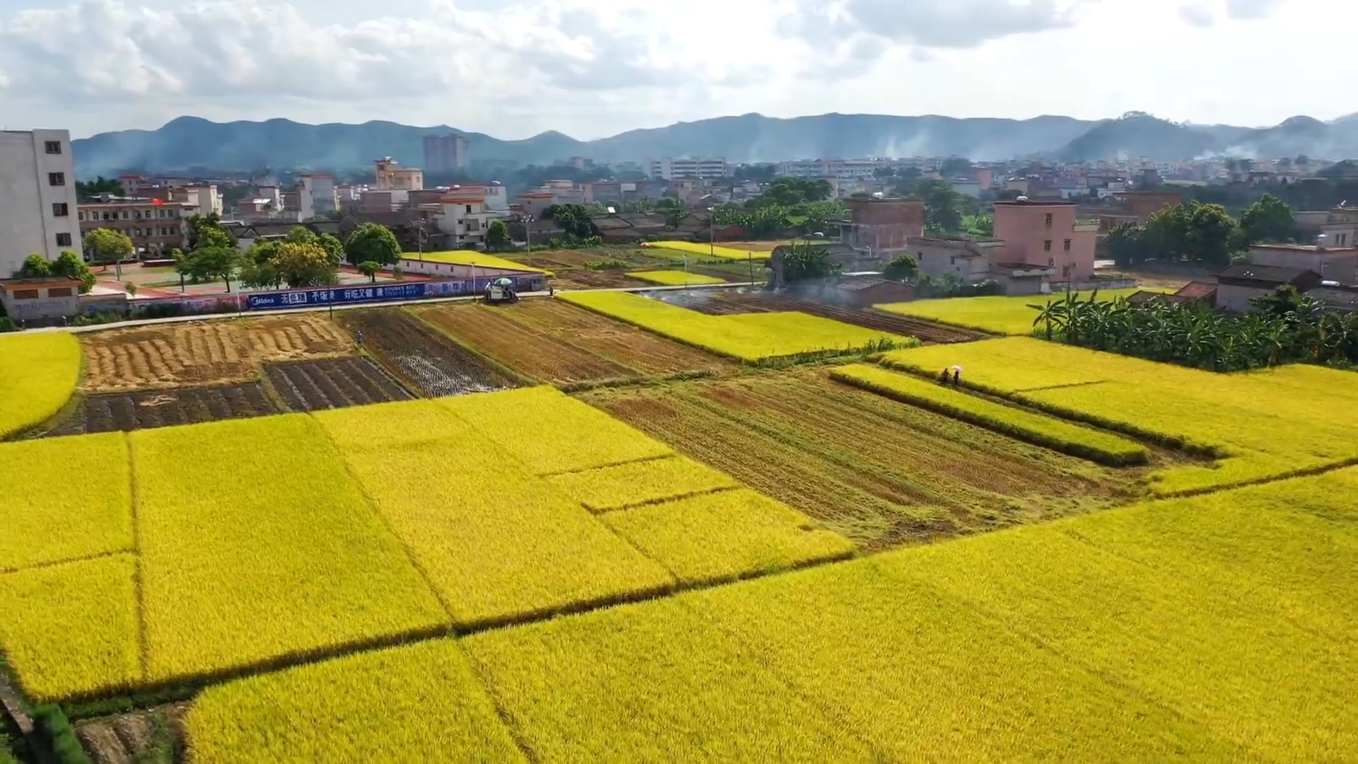 新兴:五谷丰登,瓜果飘香